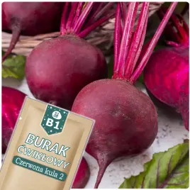 51seed-b1-burak-cwiklowy-czerwona-kula-2-okragly-plenny-nasiona-warzyw-10g