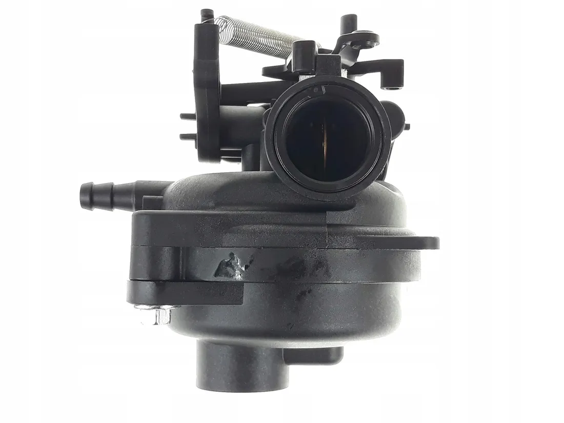 gaznik-briggs-799584