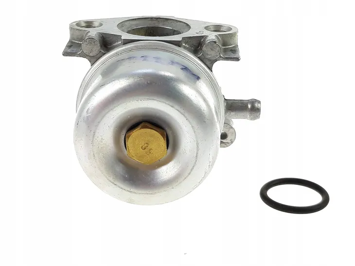 gaznik-do-briggs-and-stratton-799871-oryginal-stan-nowy