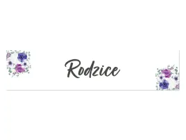tablica-rejestracyjna-rodzice-52-x-12-cm-2-szt