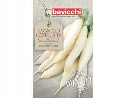 rzodkiewka-candela-di-ghiaccio-podluzna-biala-nasiona