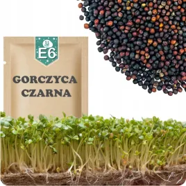 51seed-e6-nasiona-na-kielki-gorczyca-czarna-reguluja-prace-organizmu-20g