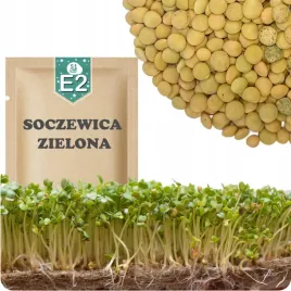 51seed-e2-nasiona-na-kielki-soczewica-zielona-zrodlo-bialka-witamin-20g