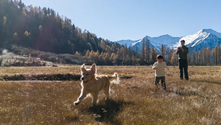 dron-dji-flip-rc-n3-stan-nowy