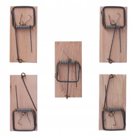 pulapka-na-myszy-drewniana-silna-myszolapka-5szt