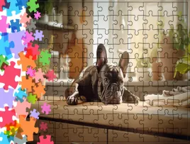 puzzle-tradycyjne-zwierzeta-pies-producent