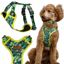 bezuciskowe-szelki-dla-psa-pudla-lagotto-sznaucera-m-25-mm-ukory-zielone