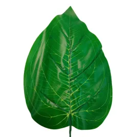 lisc-gumowany-cfij-6-12-szt