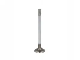 zawor-ss-peugeot-16hdi-freccia-r6728-scr
