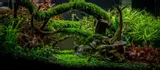 h-e-l-p-podloze-advanced-soil-plants-3l