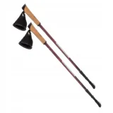 kije-nordic-walking-cliogo
