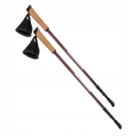 kije-nordic-walking-cliogo