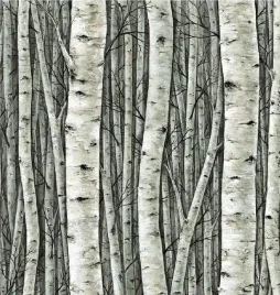 tapeta-winylowa-na-flizelinie-marburg-35380-brzozy