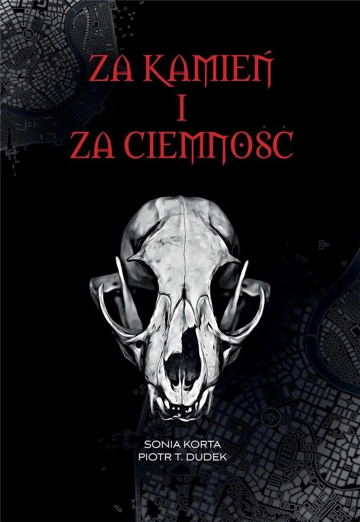 za-kamien-i-za-ciemnosc-stan-nowy