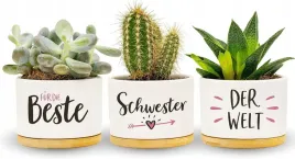 doniczka-na-kwiaty-najlepszy-prezent-do-sadzenia-roslin