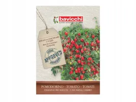 pomidor-mini-na-balkon-ciliegino-recadente-bavicchi-wloskie-nasiona