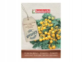 pomidor-ciliegino-giallo-nasiona-bavicchi-zolte-pomidory-na-balkon