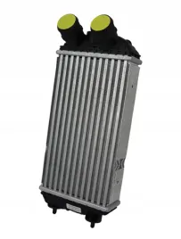 intercooler-peugeot-208-ii-1-2-pure-tech-2019-