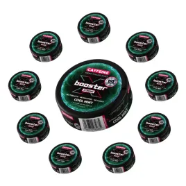 pro-boost-pack-cool-mint-10-szt