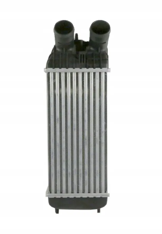 intercooler-ds-3-crossback-1-2-puretech-2018-