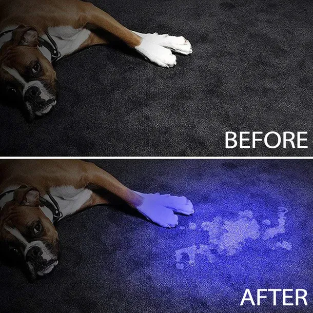 latarka-led-zoom-lt3-uv-marka-bez-marki
