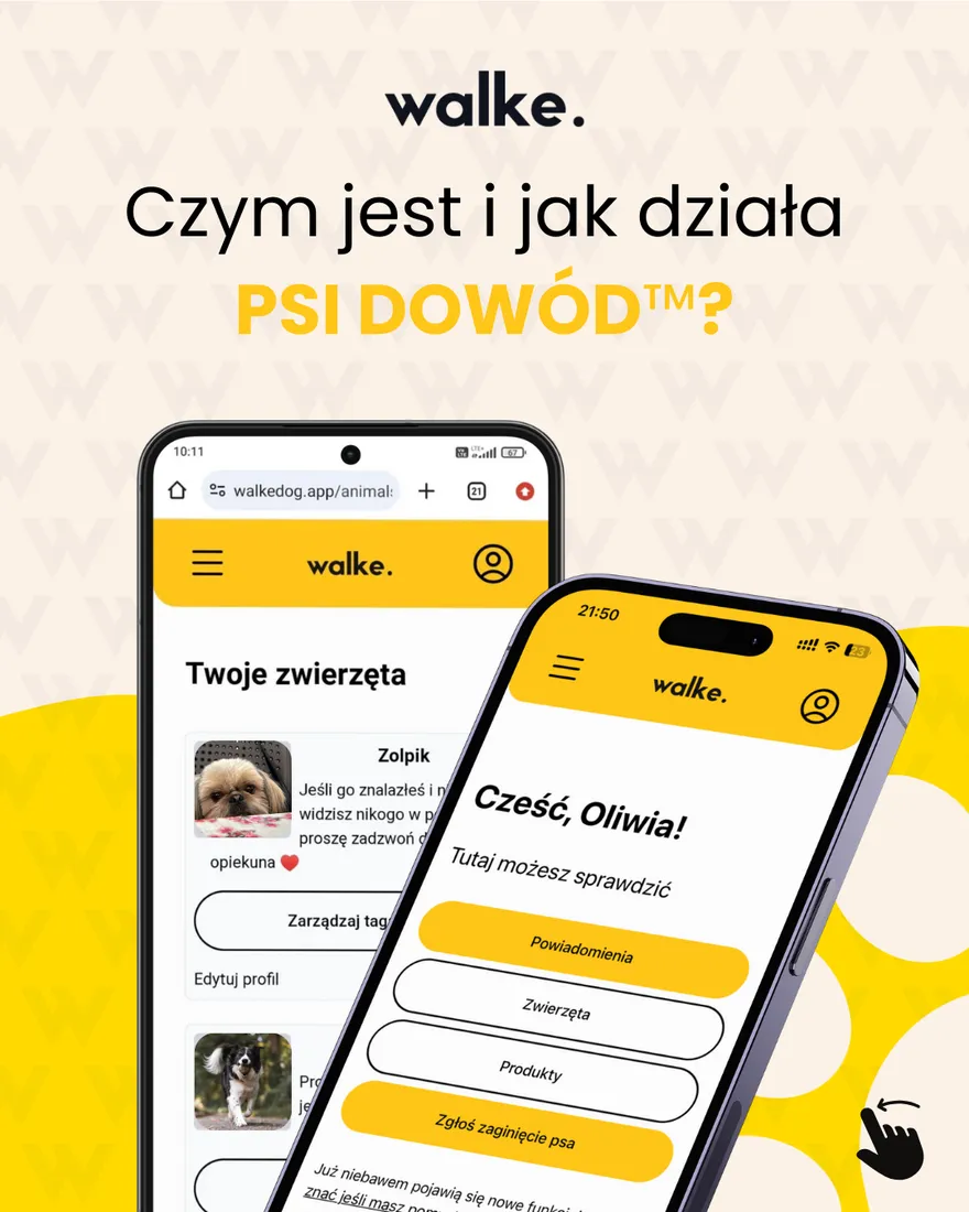 walkedog-szelki-czarne-xs-chip-stan-nowy