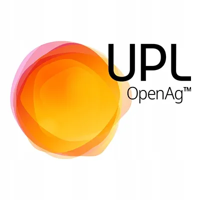 syllit-65-wp-1-kg-upl-waga-1-kg