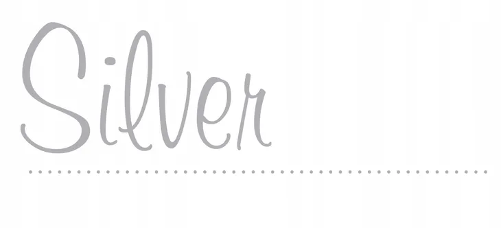 puzzle-48-samochody-silver-alex-rodzaj-2d