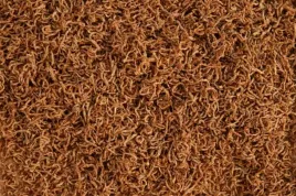 ochotka-liofilizowana-przysmak-dla-ryb-100ml