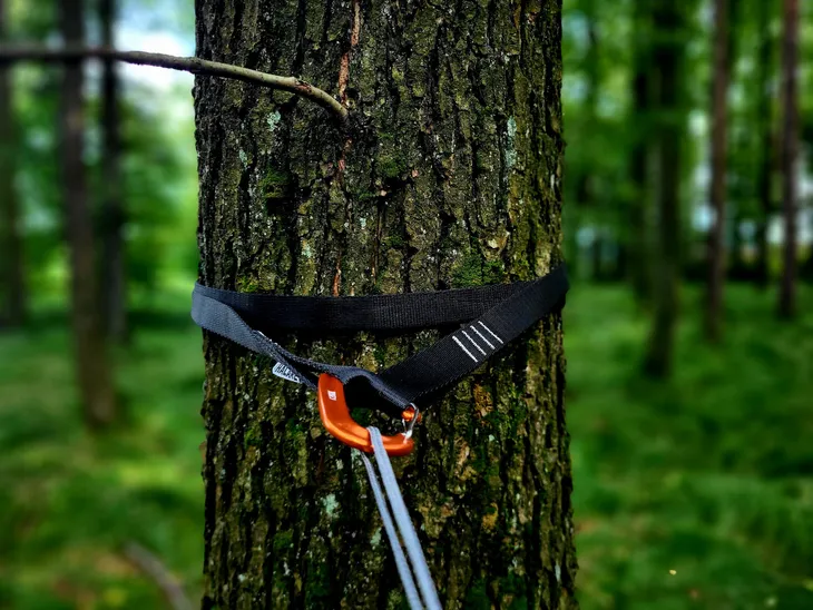 tasmy-halare-tree-huggers