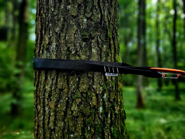 tasmy-halare-tree-huggers