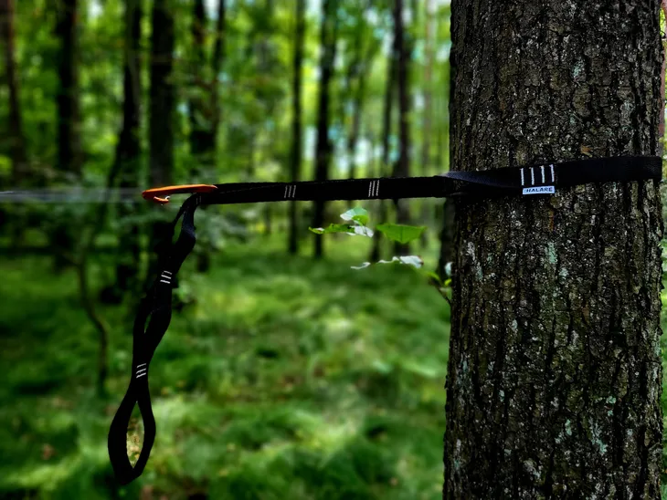 tasmy-halare-tree-huggers-chain