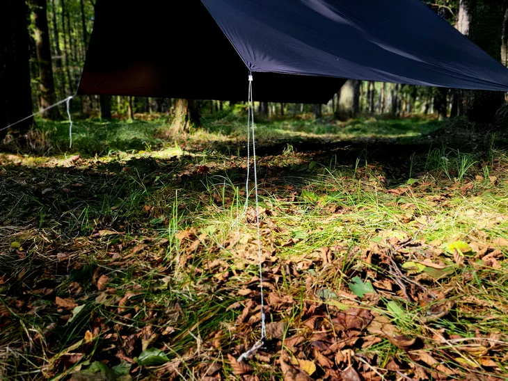 halare-light-zawiesia-tarpa