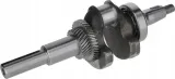 klin-loncin-kramp-1302900700001