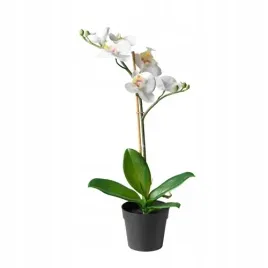 ikea-fejka-storczyk-28cm