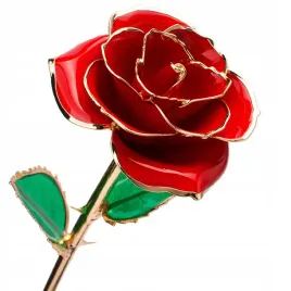 naturalna-pozlacana-roza-wieczna-i-prawdziwa