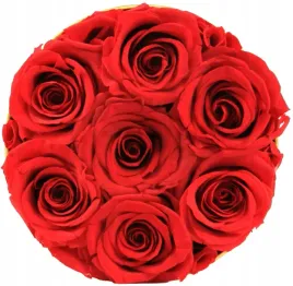 flower-box-z-7-prawdziwych-roz