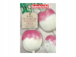 rzepak-norfolk-colletto-viola-wczesna-odmiana-nasiona