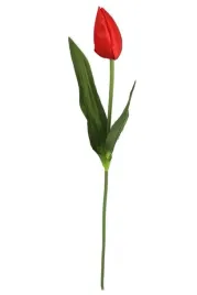 tulipan-olowkowy-galazka-czerwony