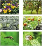 opryskiwacz-reczne-schmith-10-l-kod-producenta-sgo-100