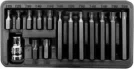proline-zestaw-15-sztuk-koncowek-torx-10741