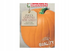 dynia-quintale-seme-giallo-polecana-na-przetwory-nasiona