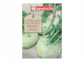 kalarepa-di-vienna-bianco-kulisty-ksztalt-nasiona