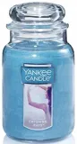 yankee-candle-large-jar-catching-rays-623g