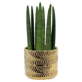 zlota-ceramiczna-oslonka-doniczka-na-kwiatki-fi15-glamur-blyszczaca