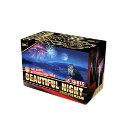 beautiful-night-d55s-f3sm2530