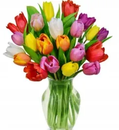 sztuczne-kwiaty-jak-zywy-tulipan-61-cm-sliczne-mix