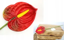 sztuczne-kwiaty-anturium-jak-zywa-czerwona-41-cm
