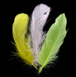 piorka-200-szt-prawdziwe-kolorowe-swieta-ozdoba-piora-prawdziwe