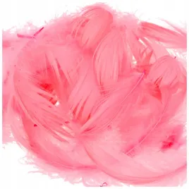 piorka-200-szt-prawdziwe-kolorowe-swieta